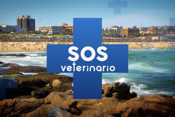 sos veterinario doppiaggio