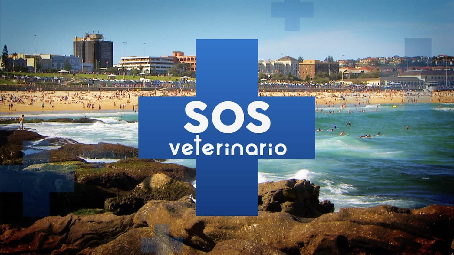 sos veterinario doppiaggio